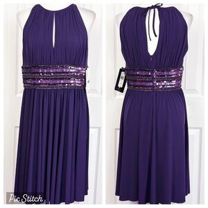 NWT JS Boutique Purple Sleeveless Sequin Beaded Waist Dress 10